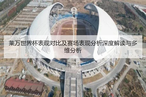莱万世界杯表现对比及赛场表现分析深度解读与多维分析