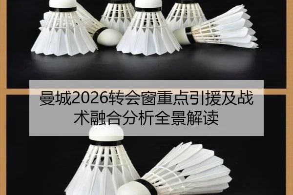 曼城2026转会窗重点引援及战术融合分析全景解读