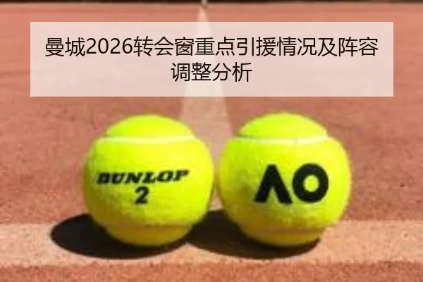 曼城2026转会窗重点引援情况及阵容调整分析
